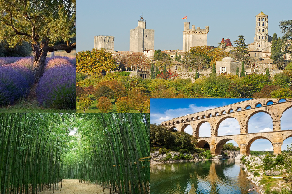 mosaïque image activités